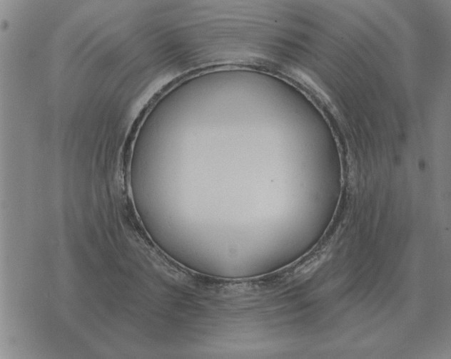 X0000074340883200609152119