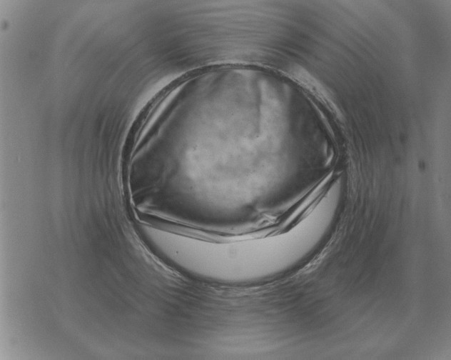 X0000074340884200609152119