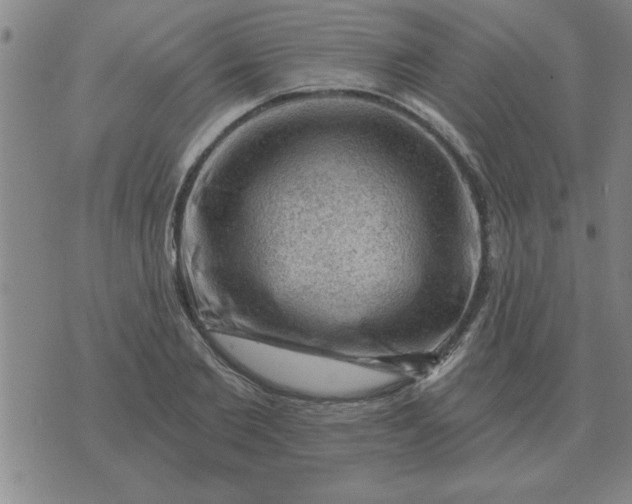 X0000074340885200609152119