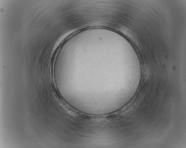 X0000074340886200609152119