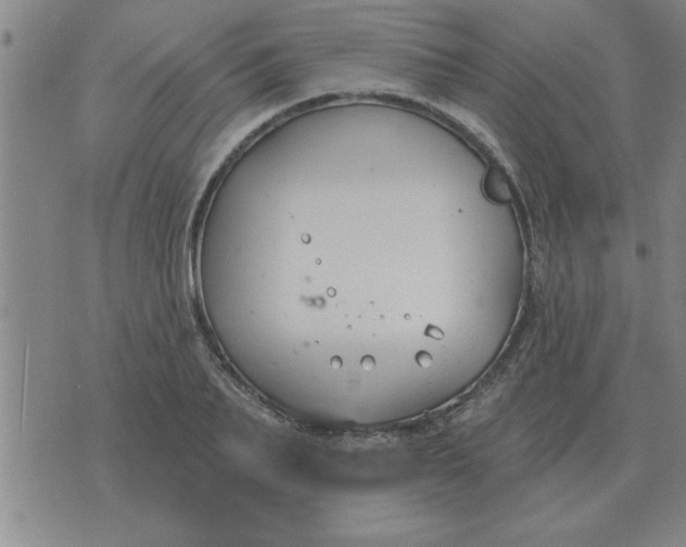 X0000074340887200609152119