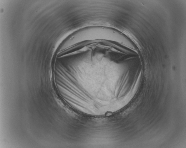 X0000074340888200609152119