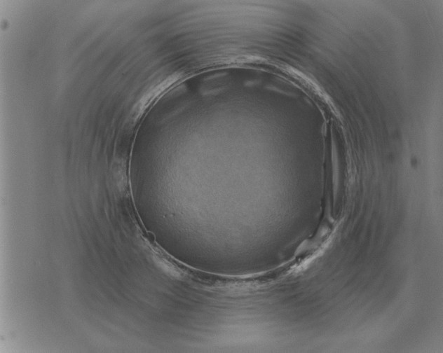 X0000074340889200609152119