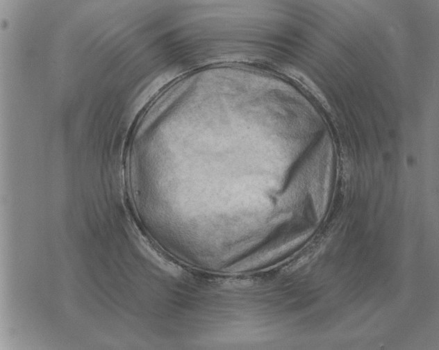 X0000074340890200609152119