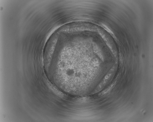 X0000074340891200609152119