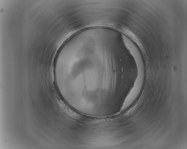 X0000074340892200609152119