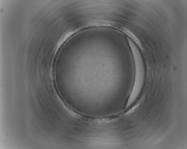 X0000074340893200609152119