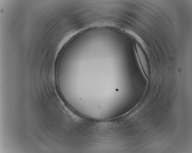 X0000074340894200609152119