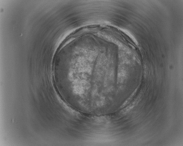 X0000074340895200609152119