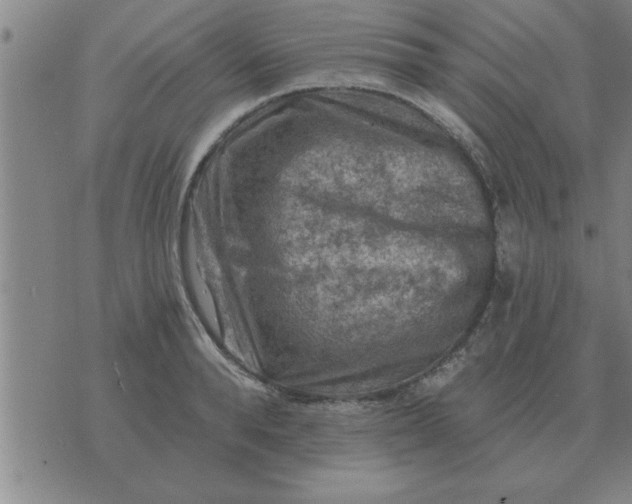 X0000074340896200609152119