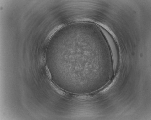 X0000074340897200609152119