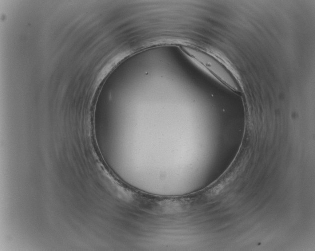 X0000074340898200609152119