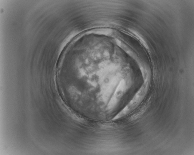 X0000074340899200609152119