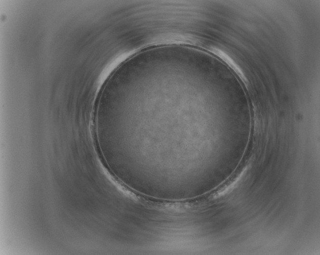 X0000074340901200609152119