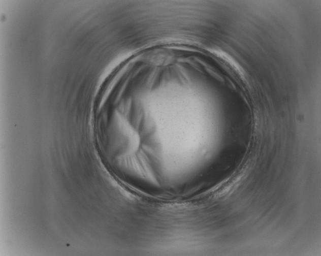 X0000074340902200609152119