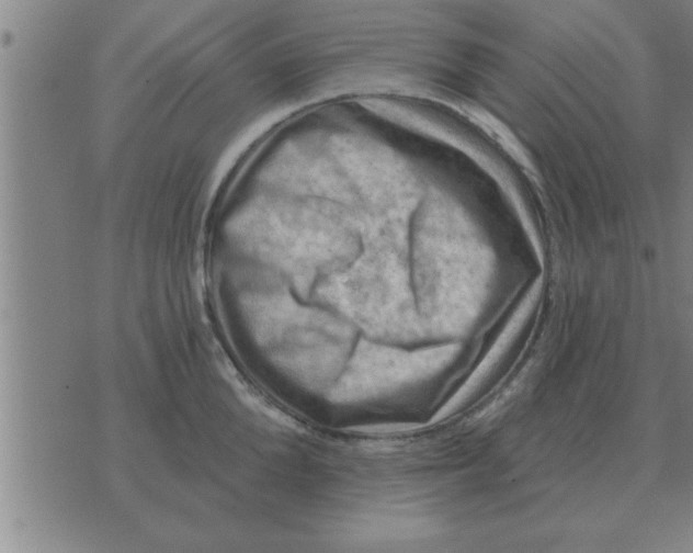 X0000074340904200609152119