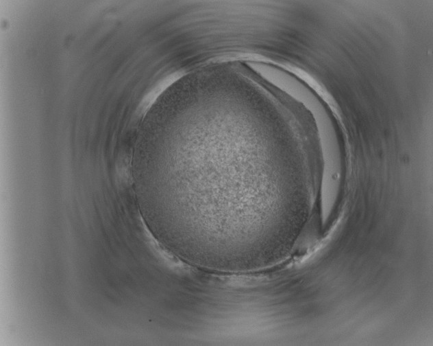 X0000074340905200609152119