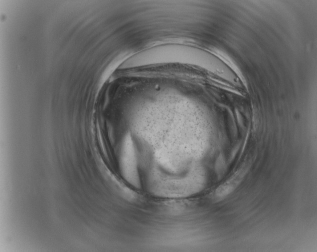 X0000074340906200609152119