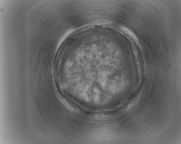 X0000074340907200609152119