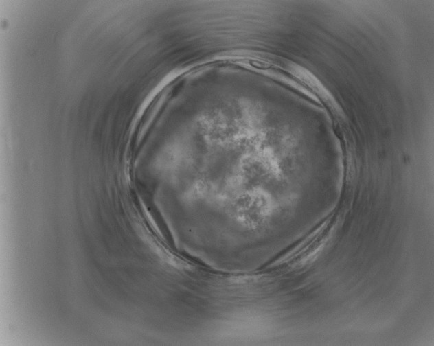 X0000074340908200609152119