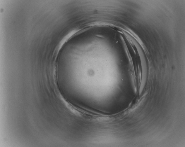 X0000074340909200609152119