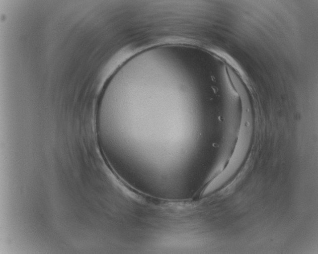 X0000074340910200609152119