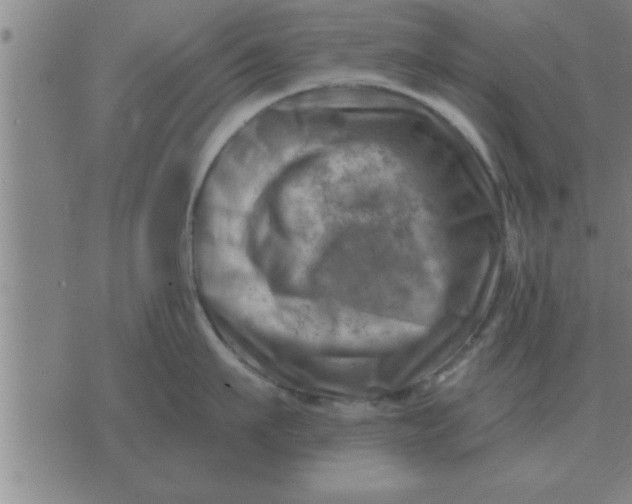 X0000074340911200609152119