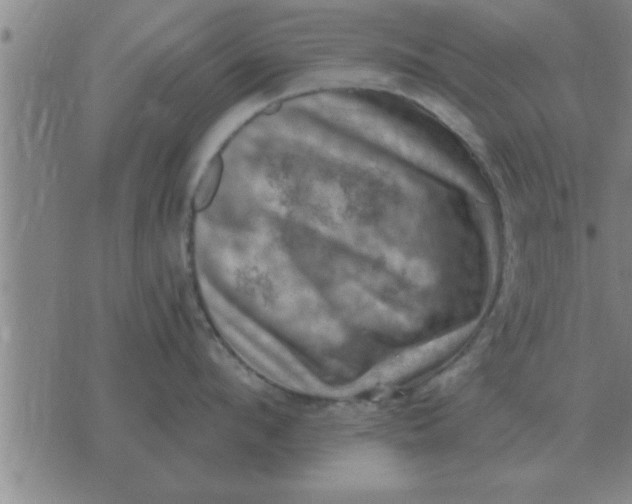 X0000074340912200609152119