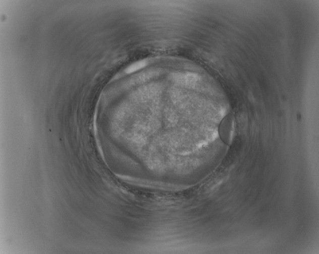 X0000074340913200609152118