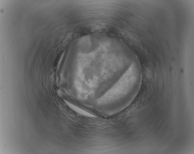 X0000074340914200609152118