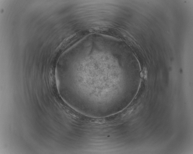 X0000074340915200609152118