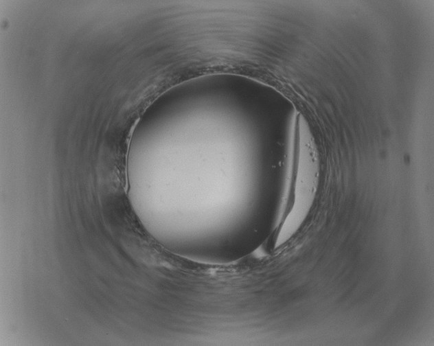 X0000074340916200609152118