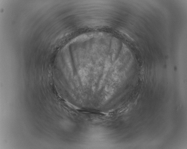 X0000074340917200609152118