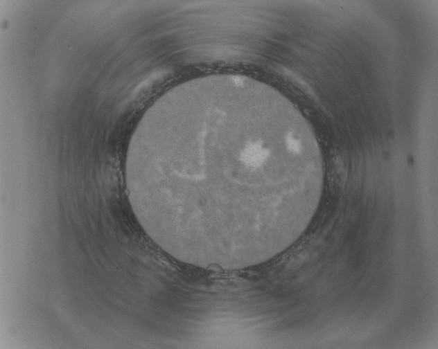 X0000074340918200609152118