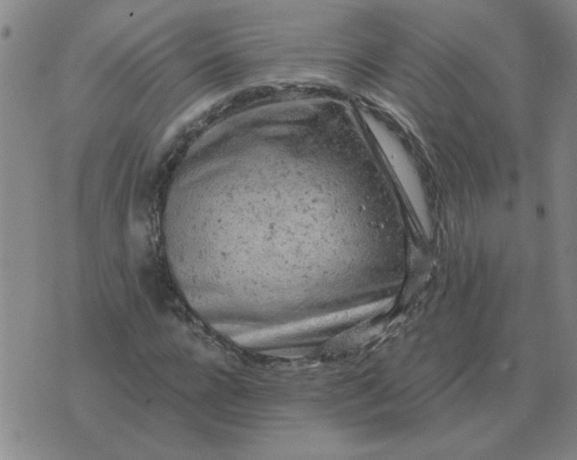 X0000074340920200609152118