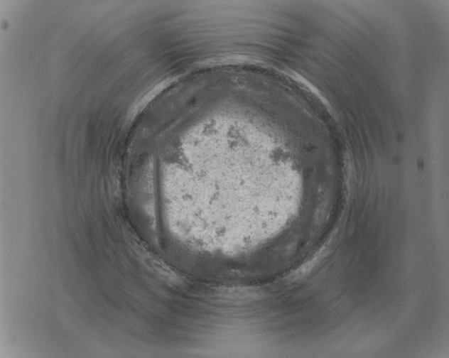 X0000074340921200609152118