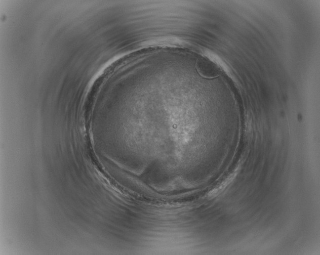 X0000074340923200609152118