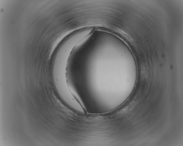 X0000074340926200609152118