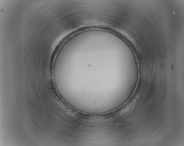 X0000074340927200609152118