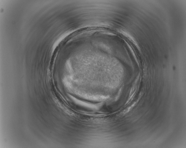 X0000074340928200609152118