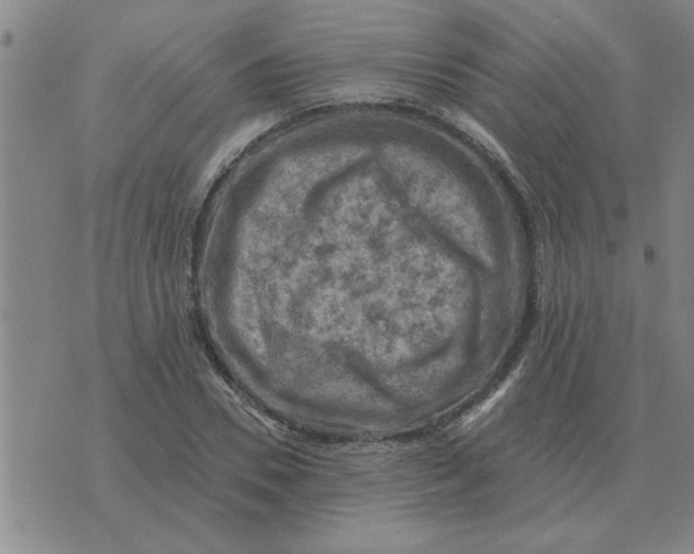 X0000074340930200609152118