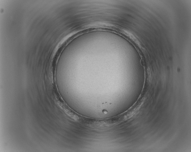 X0000074340931200609152118