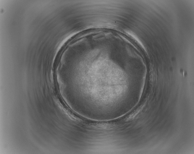 X0000074340932200609152118