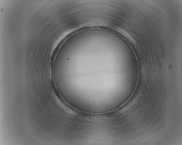 X0000074340934200609152118