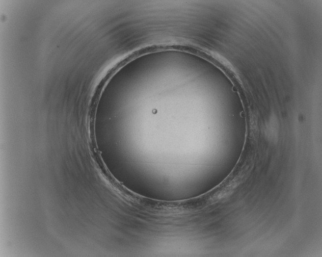 X0000074340935200609152118