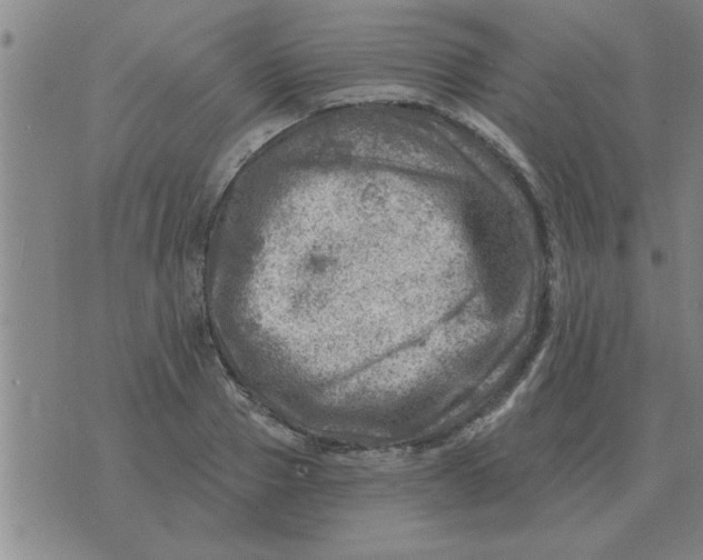 X0000074340937200609152118