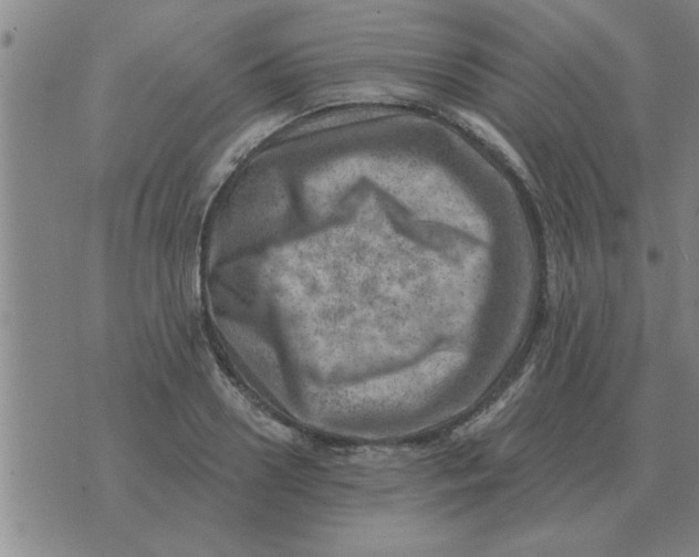 X0000074340938200609152118