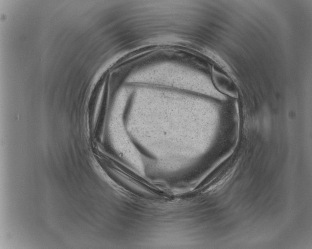 X0000074340939200609152118