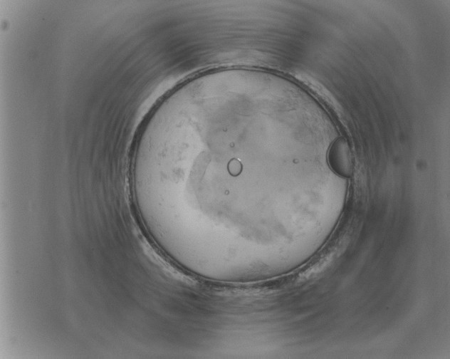 X0000074340941200609152118