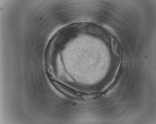 X0000074340942200609152118